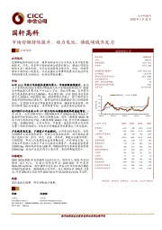 市场份额持续提升，动力电池、储能领域齐发力