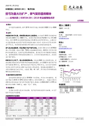 2019年业绩预告点评：扭亏为盈大力扩产，景气复苏值得期待