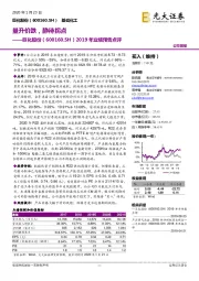 2019年业绩预告点评：量升价跌，静待拐点