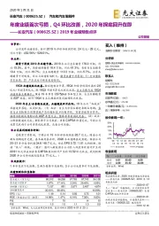 2019年业绩预告点评：年度业绩首次亏损，Q4环比改善，2020年探底回升在即