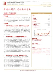 配套特斯拉 迈向全球龙头