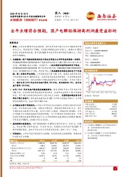 2019年度业绩预告点评：全年业绩符合预期，国产电解铝保持高利润最受益标的