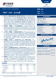 深度研究报告：“新新”向荣，龙头起舞