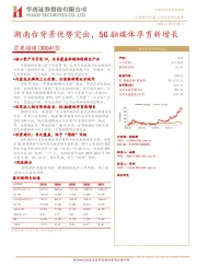 湖南台背景优势突出，5G融媒体孕育新增长