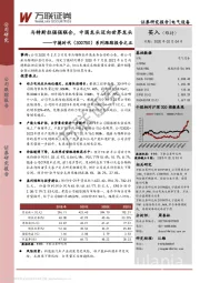 系列跟踪报告之五：与特斯拉强强联合，中国龙头迈向世界龙头