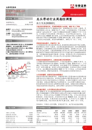 龙头带动行业周期性调整