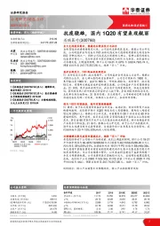 抗疫骁雄,国内1Q20有望表现靓丽