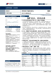 2019年业绩快报点评:SIP龙头,迈向全球