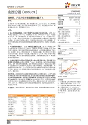 超预期，产品升级与渠道复制比翼齐飞