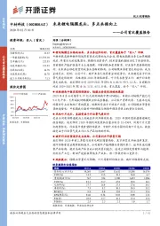 公司首次覆盖报告：未来锂电隔膜龙头，多点共振向上