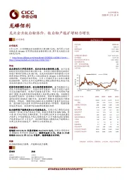 龙头企业钛白粉涨价，钛白粉产能扩增助力增长