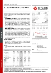 化工龙头价值分析系列之六-合盛硅业