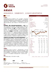 短期业绩承压，长期看好红外、企业数字化转型等新需求