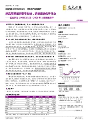 2020年1月销量点评：新品周期抵消春节影响，销量增速优于行业