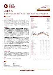 电商费用投放拖累2019年业绩，2020关注佰草集品牌调整效果