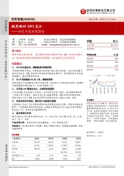 初灵信息深度报告：被忽略的DPI龙头