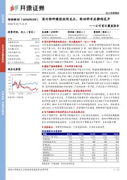 公司首次覆盖报告：国内特种橡胶助剂龙头，新材料布局静待花开