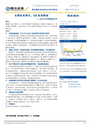 2019年业绩快报点评：业绩快速增长，Q4表现靓丽