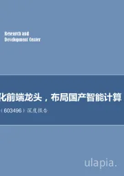 深度报告：网络可视化前端龙头，布局国产智能计算