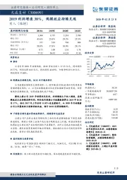 2019利润增速38%，规模效应持续兑现