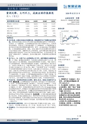 重剑无锋、大巧不工,成就全球价值典范
