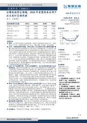 业绩快报符合预期，2020年有望迎来自研产品与发行区域突破