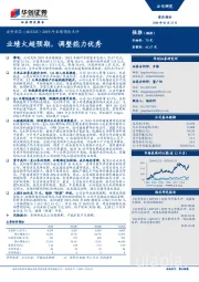 2019年业绩预告点评：业绩大超预期，调整能力优秀