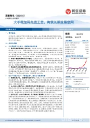 大手笔加码先进工艺，构筑长期发展空间