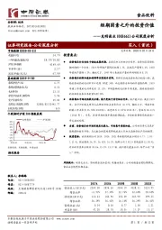 公司深度分析:短期因素之外的投资价值