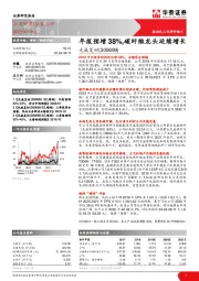 年报预增38%，碳纤维龙头延续增长