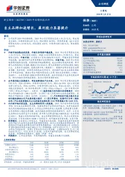 2019年业绩快报点评：自主品牌加速增长，盈利能力显著提升