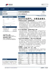 2019年业绩快报点评：安全行业高景气，业绩高速增长