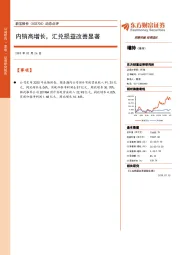 内销高增长，汇兑损益改善显著