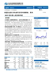 欧盟无卤化与电动车应用双轮驱动，国内BDP龙头进入成长快车道