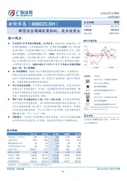 新型安全领域优质标的，成长性突出