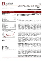 公司点评报告：受益于国产自主战略，新材料领域继续突破