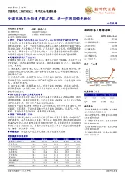 全球电池龙头加速产能扩张，进一步巩固领先地位