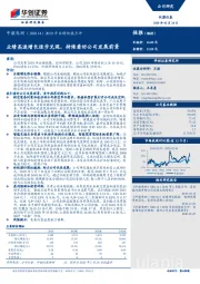 2019年业绩快报点评：业绩高速增长逐步兑现，持续看好公司发展前景