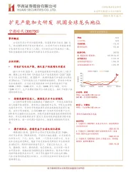 扩充产能加大研发 巩固全球龙头地位