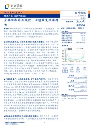 全球化布局显成效，业绩恢复快速增长