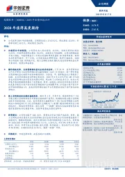 2019年业绩快报点评：2020年值得高度期待