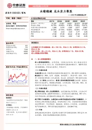 2019年业绩快报点评:业绩稳健 龙头实力彰显