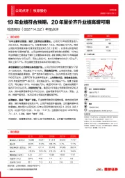 年报点评：19年业绩符合预期，20年量价齐升业绩高增可期