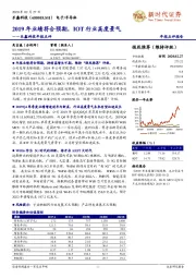 乐鑫科技年报点评：2019年业绩符合预期，IOT行业高度景气