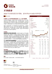 2019年业绩快报符合预期，看好沸石和OLED材料增长