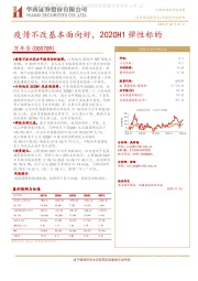 疫情不改基本面向好，2020H1弹性标的