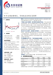 19年业绩强势增长,多领域未来增长有保障