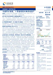 业绩符合预期,口罩熔喷聚丙烯实现量产