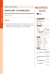 动态点评：业绩符合预期 主打品种稳定增长