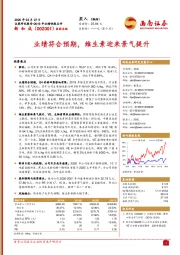 2019年业绩快报点评：业绩符合预期，维生素迎来景气提升